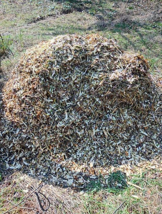 Надаємо послуги з переробки гілля дерев на щепу