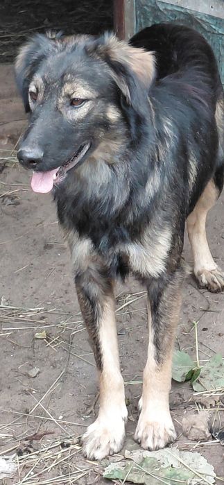 Красивий хлопчик у добрі ручки