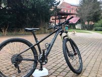 Rower Bianchi SX Methanol