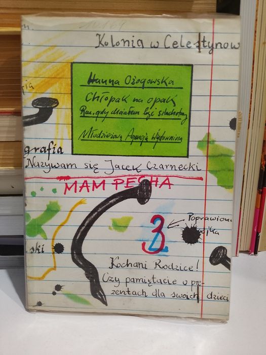 Hanna Ożogowska Chłopak na opak