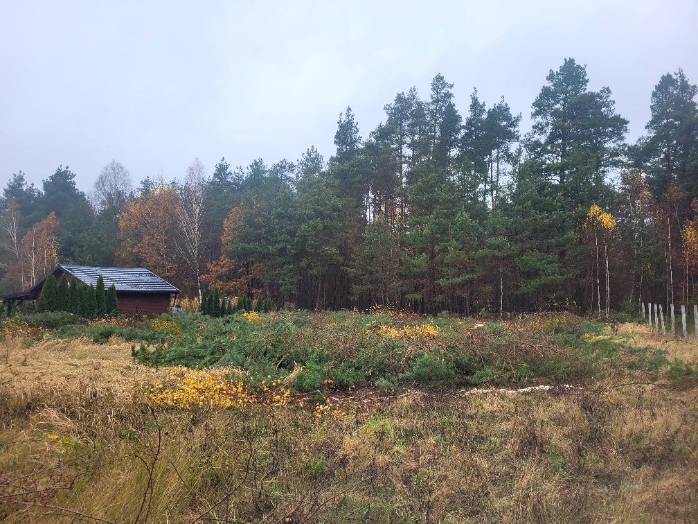 Wycinka drzew i krzewów metodą alpinistyczną lub tradycyjna
