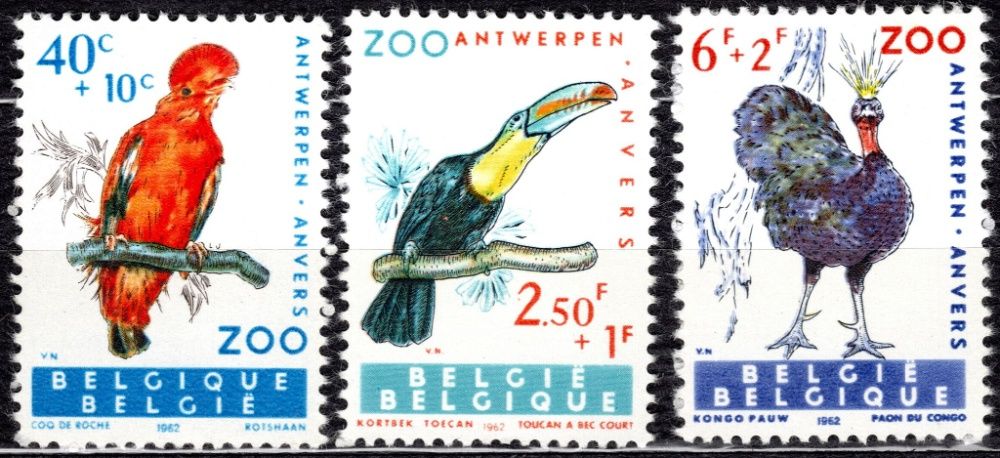 Znaczki pocztowe ** Belgia 1962 r. Ptaki egzotyczne ZOO Antwerpia