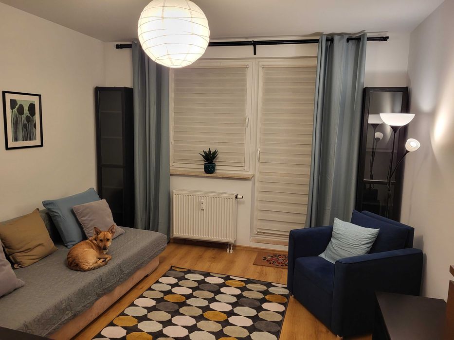 Kawalerka na Białołęce, od zaraz