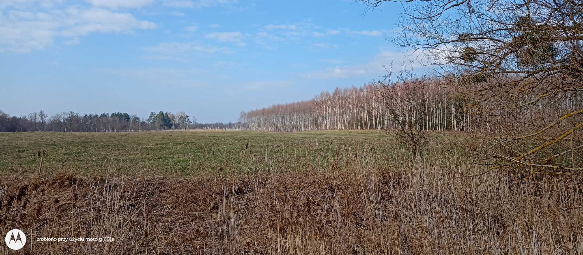 Działka Rolna o powierzchni 2.1 Hektara ( Łąka)
