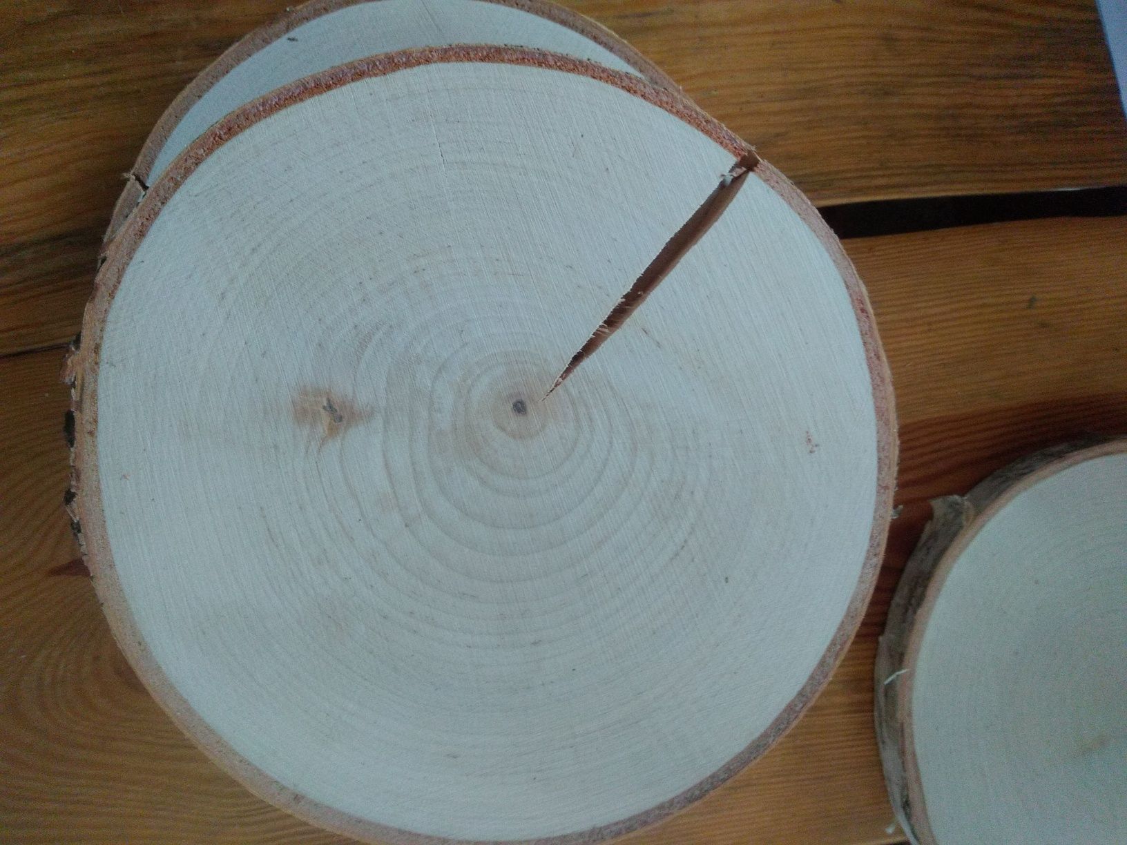 Plastry drewna brzozowego śr ok 18 -20 cm 20 szt, pęknięcia