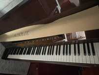 Piano vertical scholze