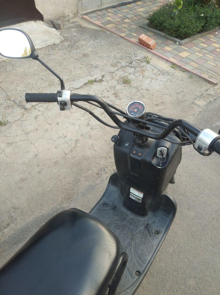 Honda zoomer 50cc