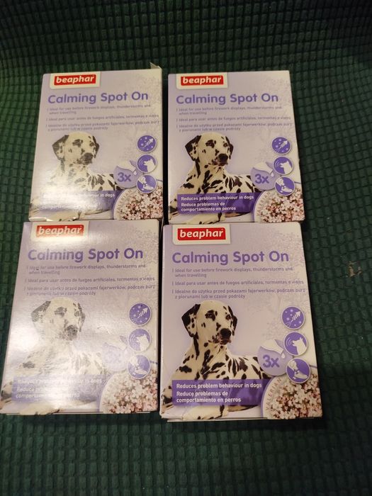 Coś dla psa i coś do akwarium