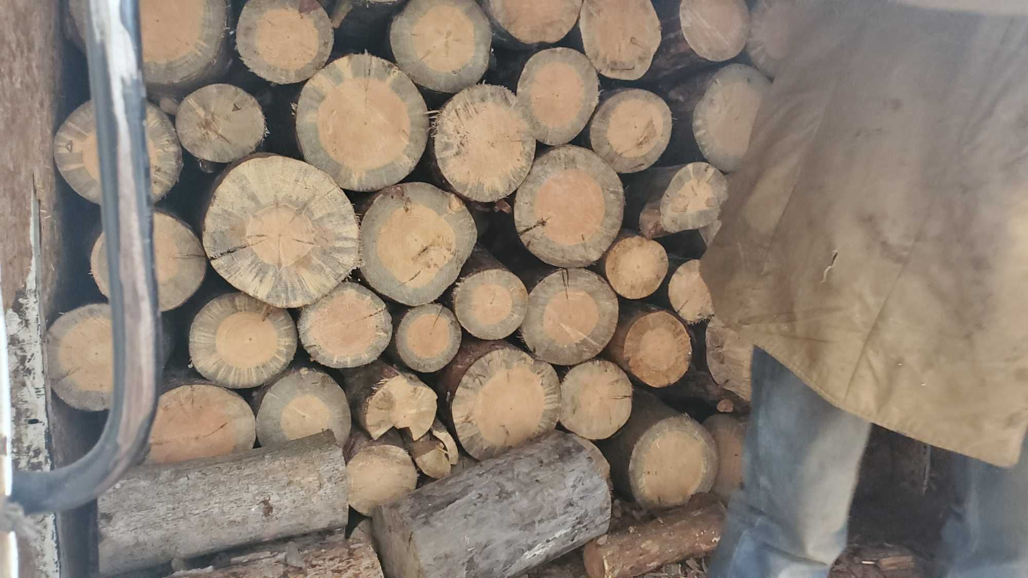 Продам дрова Сосна  Береза Ольха Осика