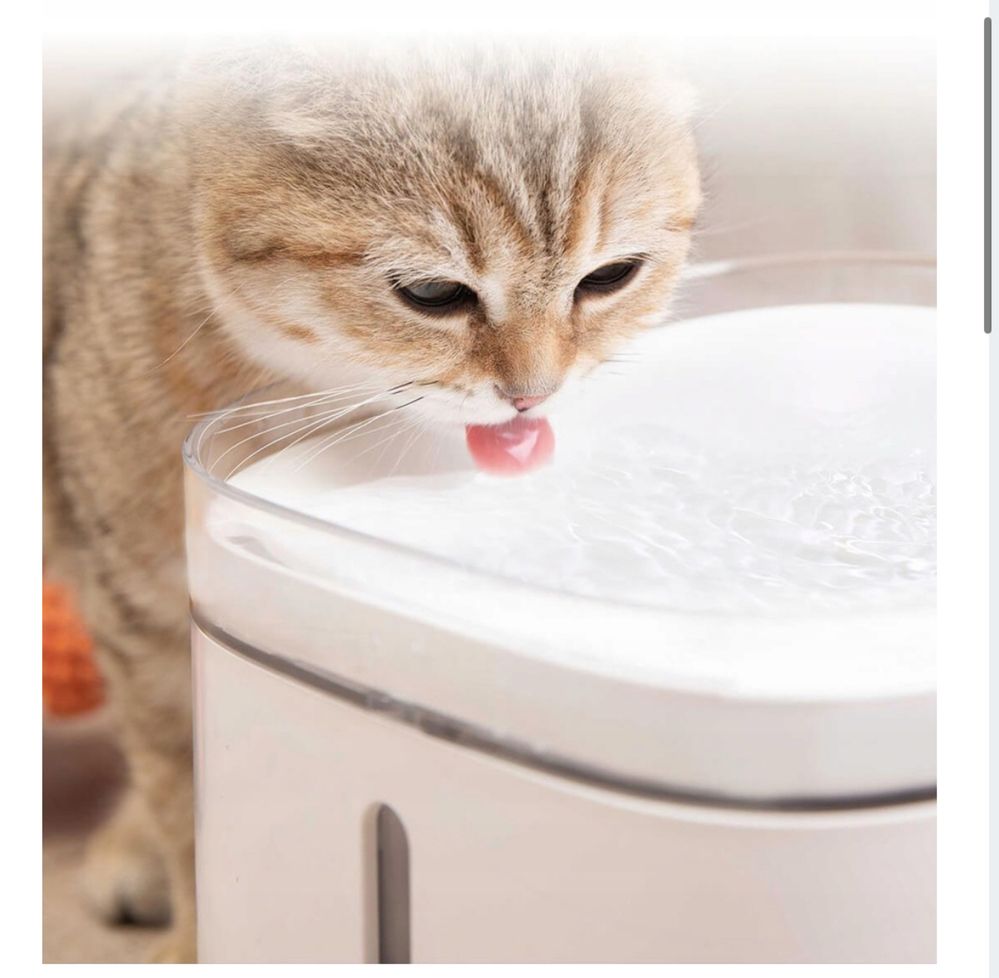 Poidło XIAOMI Smart Pet Fountain XWWF01MG-EU