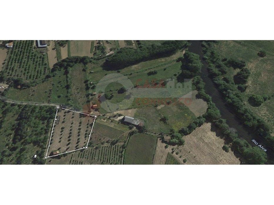 Terreno com árvores de fruto e pequena casa