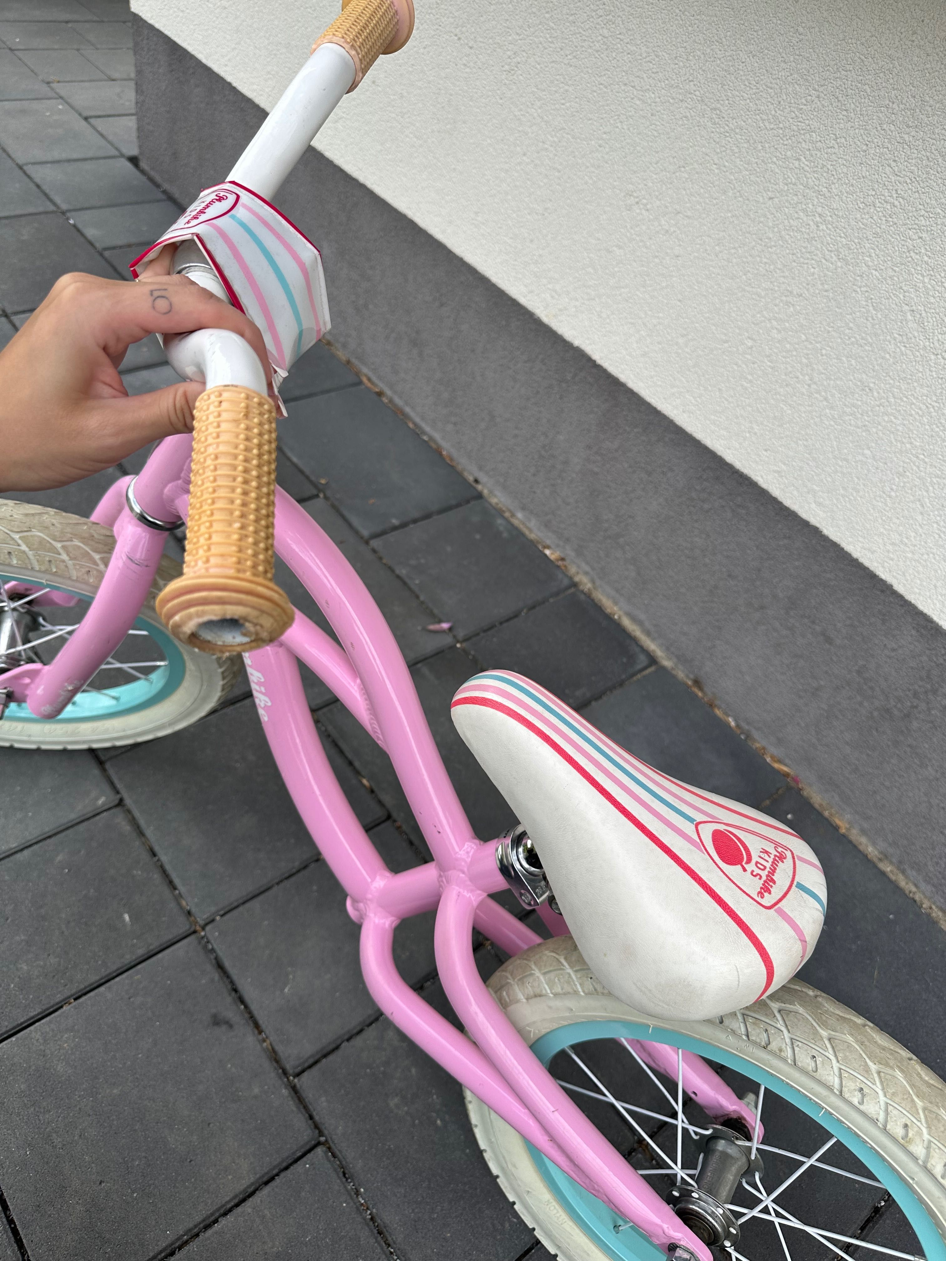 Rowerek biegowy Plumbike
