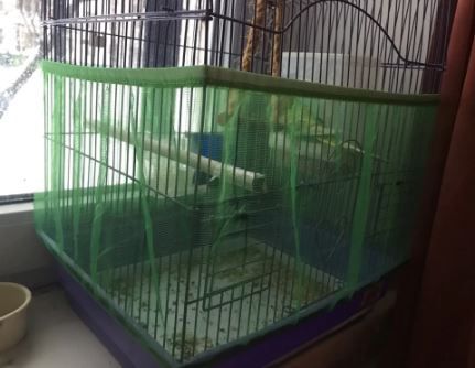 Rede resguardo para gaiolas, saias para fundo gaiolas medias