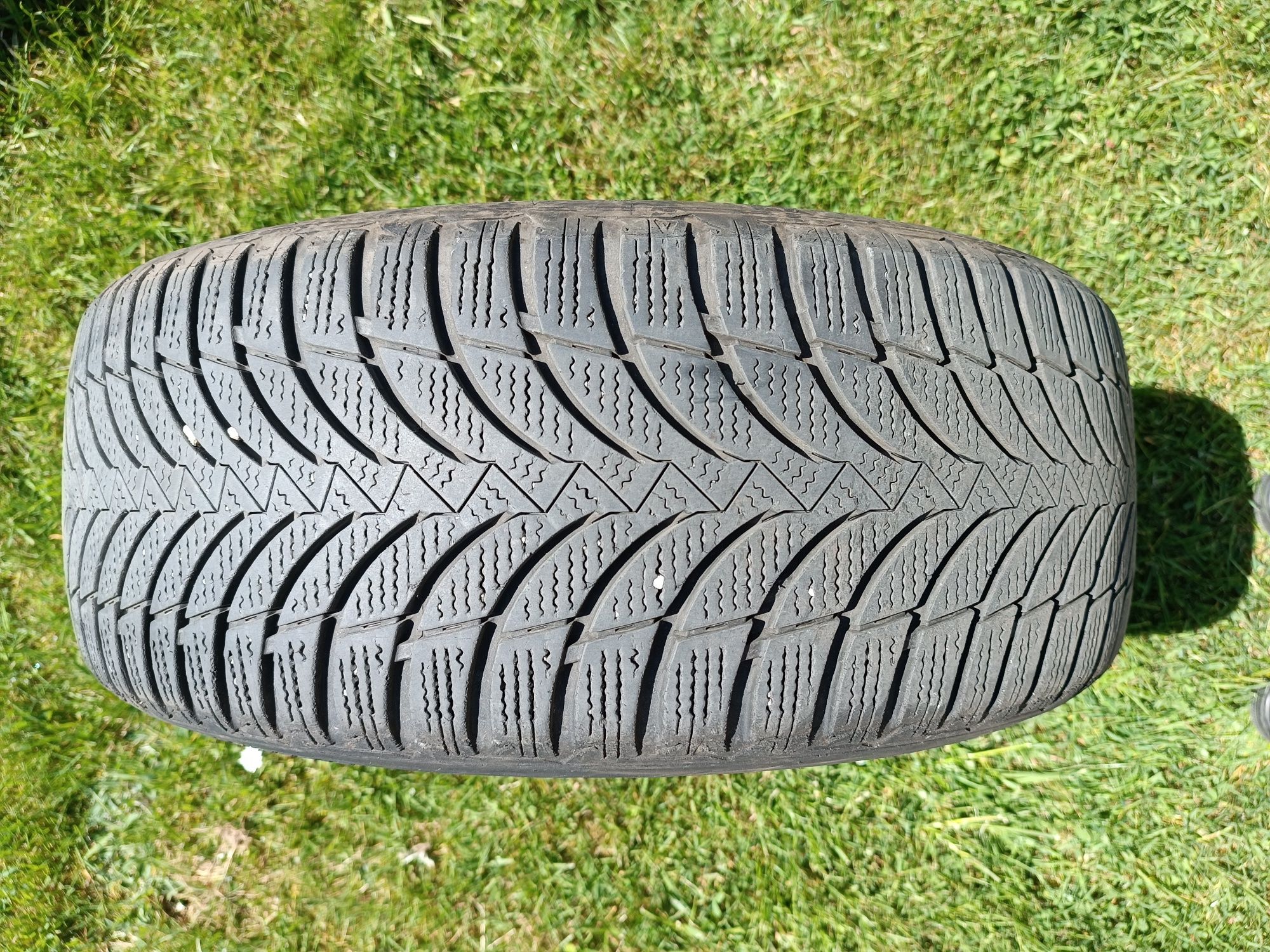 Opony zimowe Nexen winguard snow'g wh2 205/55 r16 91 t