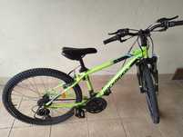 Rower Rockrider 24"