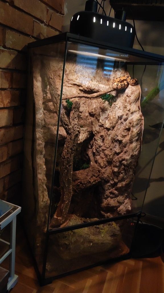 Terrarium szklane IG REPTI z wyposażeniem dla kameleona , gekona  itp