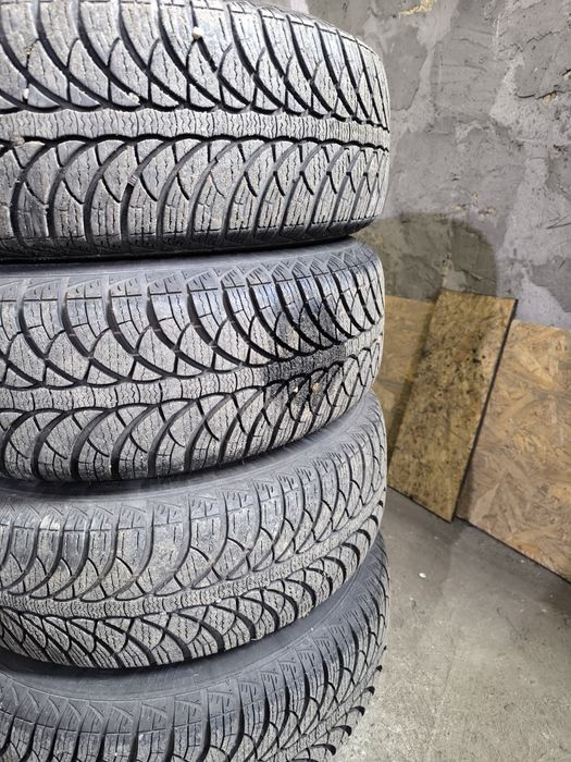 Гума зимова .фулда.