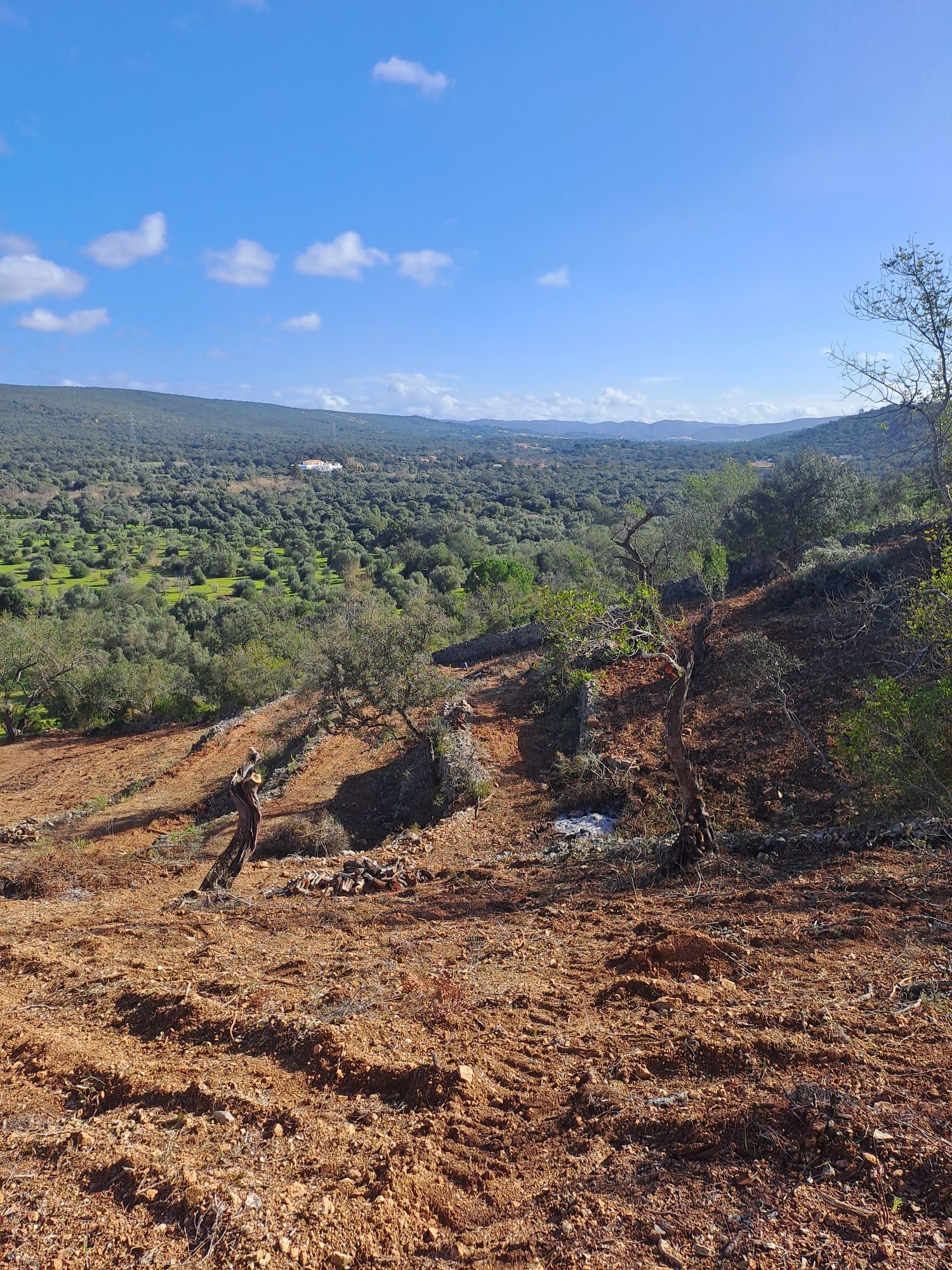 Terreno rustico bem localizado