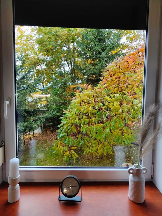 2pok 51m2 (widok na ogród), z miejscem parkingowym, niedaleko centrum