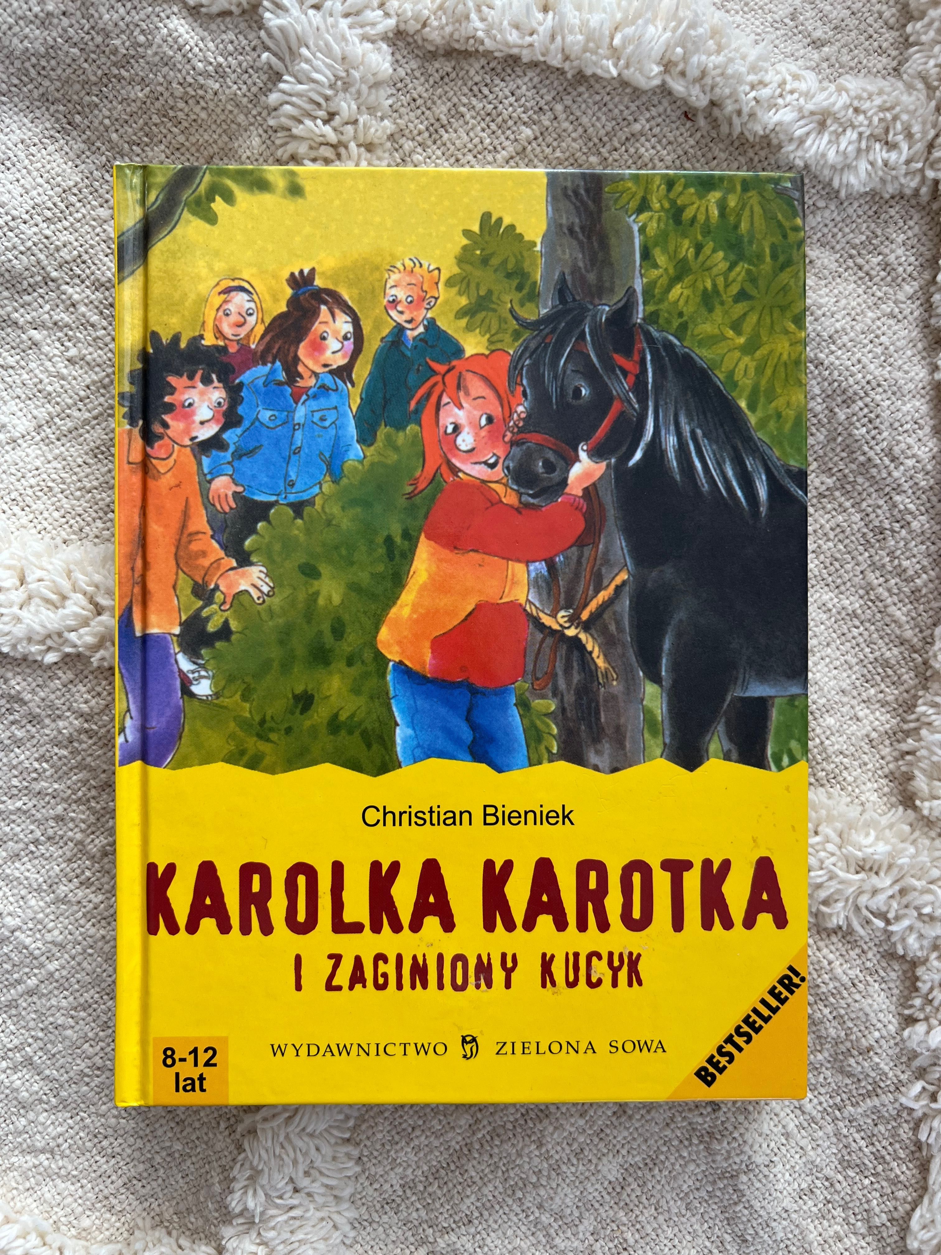 Karolka Karotka i zaginiony kucyk Ch. Bieniek ilustrowana