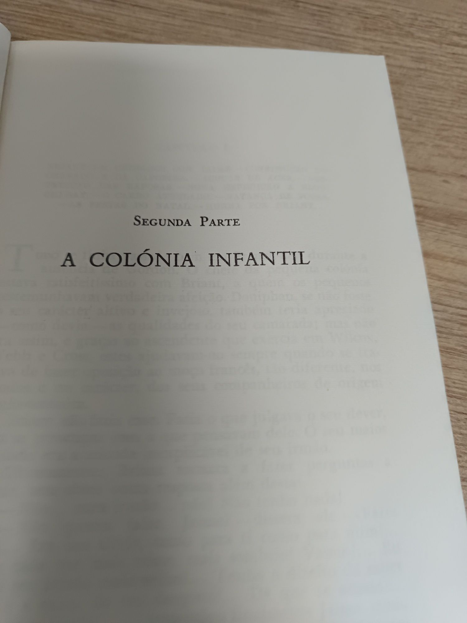 Livro " Dois anos de férias"Julio Verne.1978