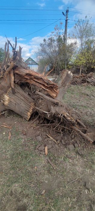 Послуги екскаватора+камаза