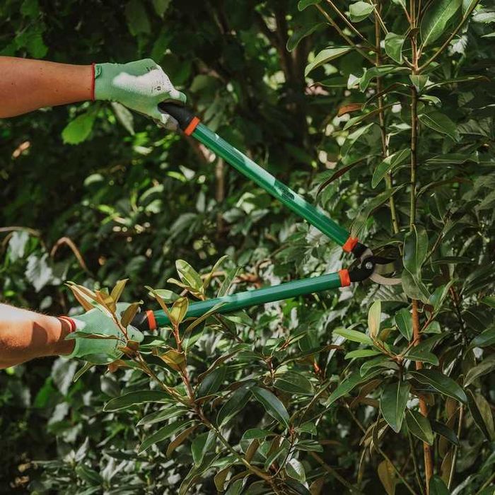 ZESTAW 3 sztuk SEKATOR do GAŁĘZI do ŻWYOPŁOTU Nożyce Ogrodowe