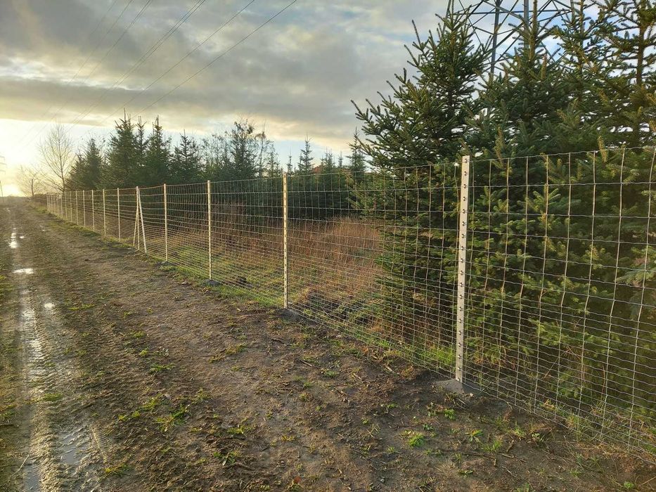 Słupki ogrodzeniowe do siatki leśnej, gospodarczej, paneli