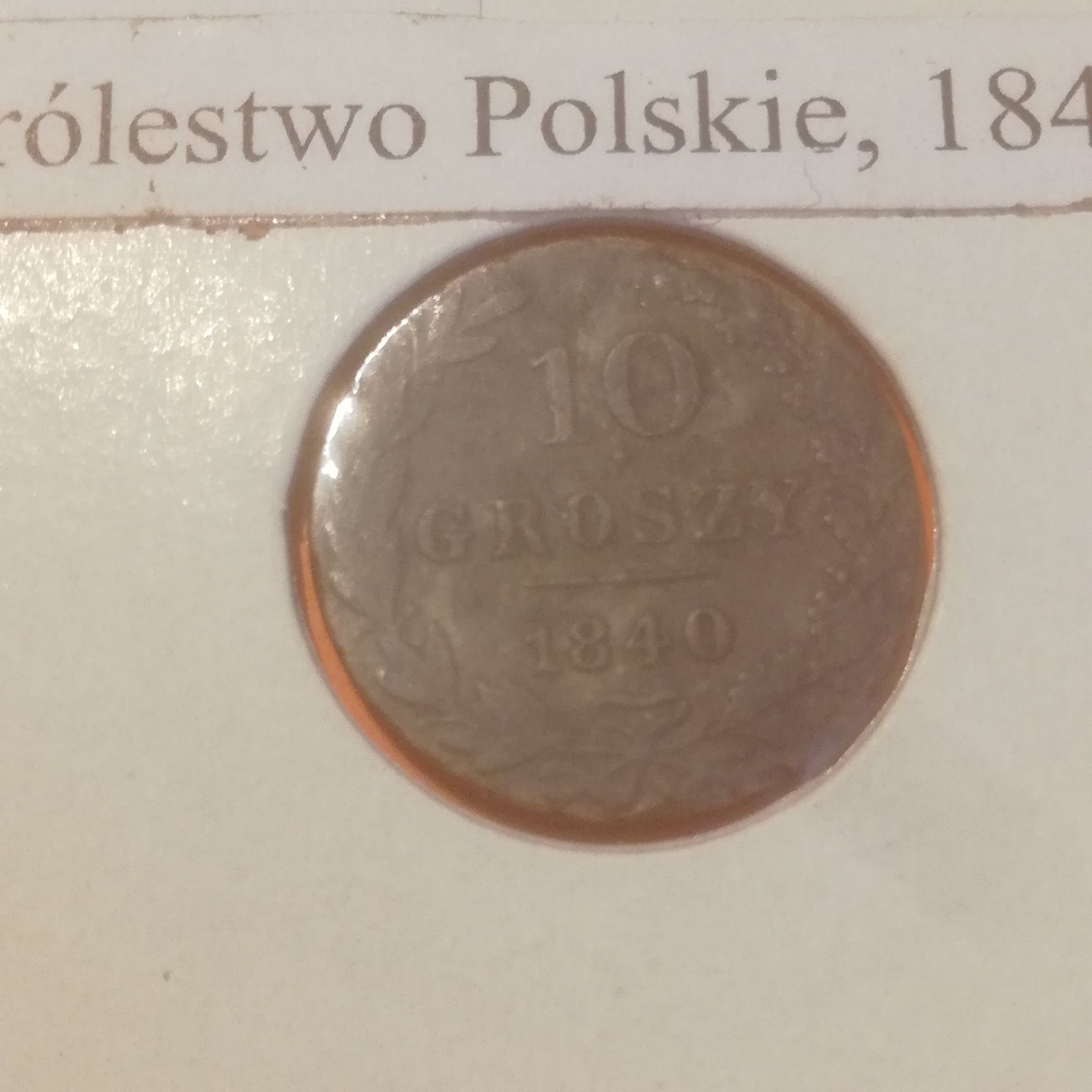Zestaw Polskich groszy i fenigów 1840 - 1939, rzadsze/6 szt