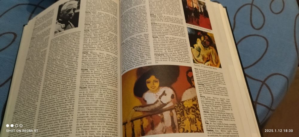 Enciclopédia 19 volumes