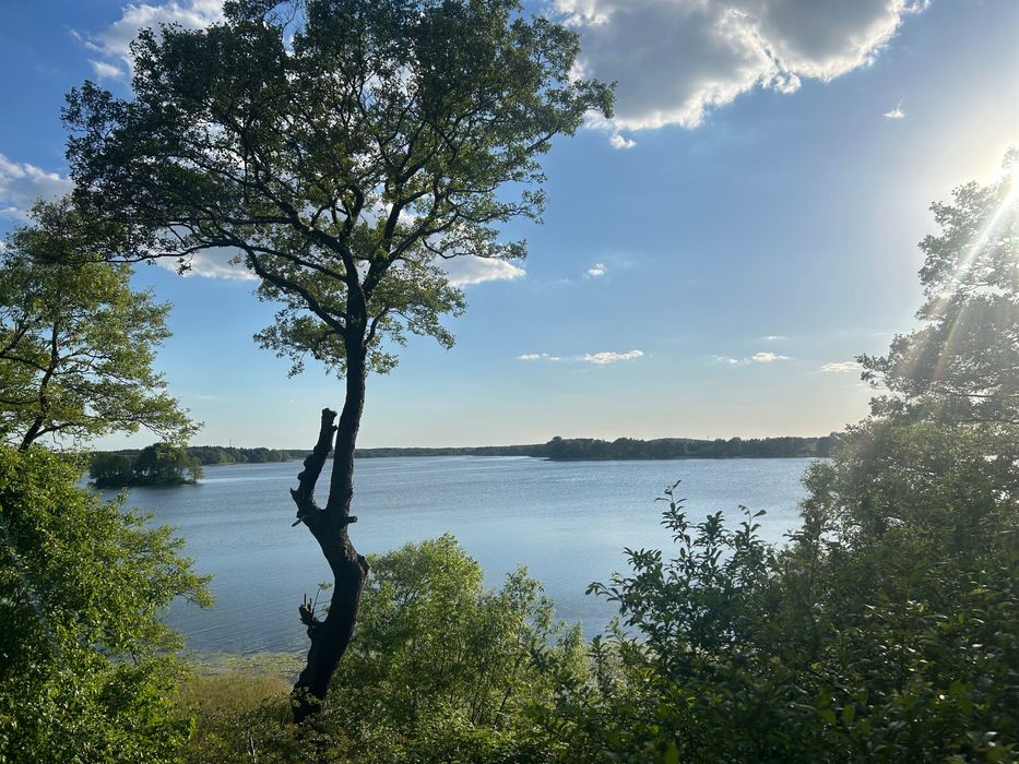 Domek nad jeziorem Głuszyńskim (150 m od jeziora ) Kajak , rower wodny