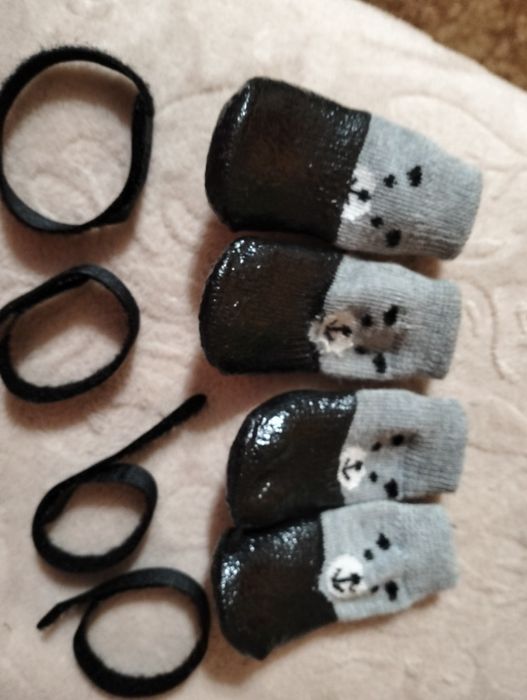 Продам собачі носочки