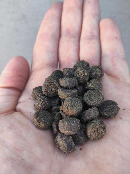 Ração GrainFree 15kg || Preço/qualidade Top !!