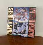 Vinil Lp Guns N Roses