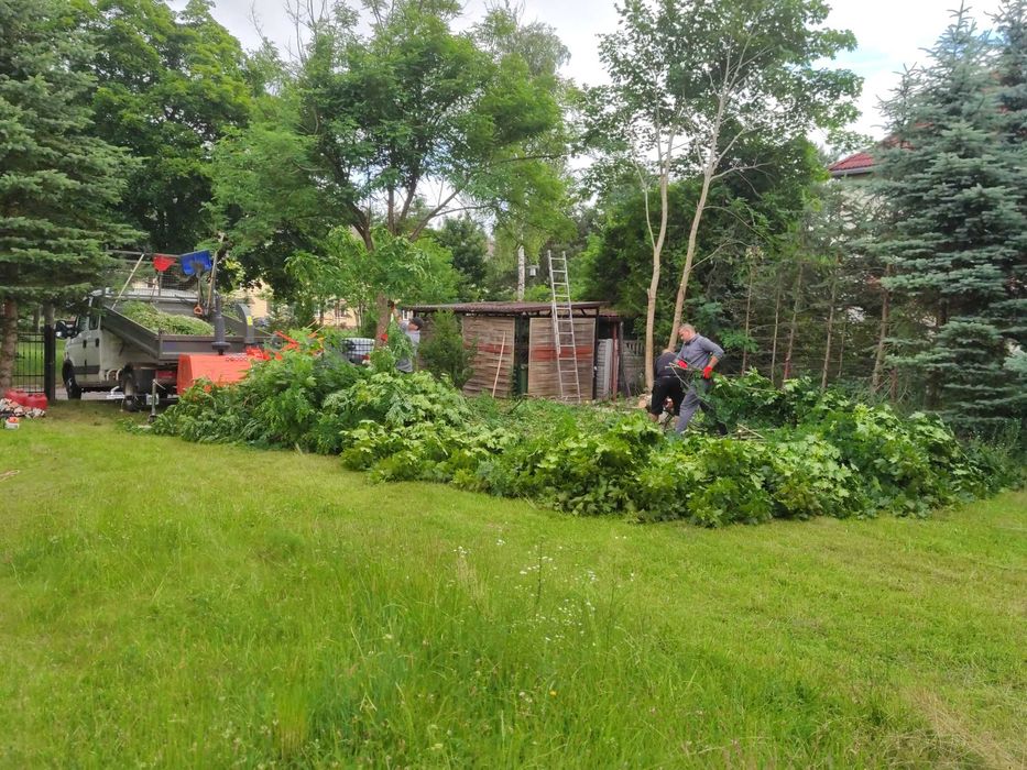 Czyszczenie działek, wycinka drzew z podnośn, krzaków ich zrąbkowanie