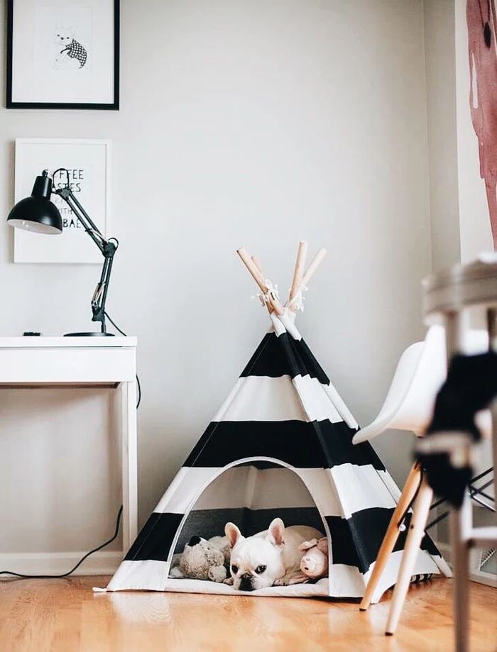 Tenda Pipolli para cães