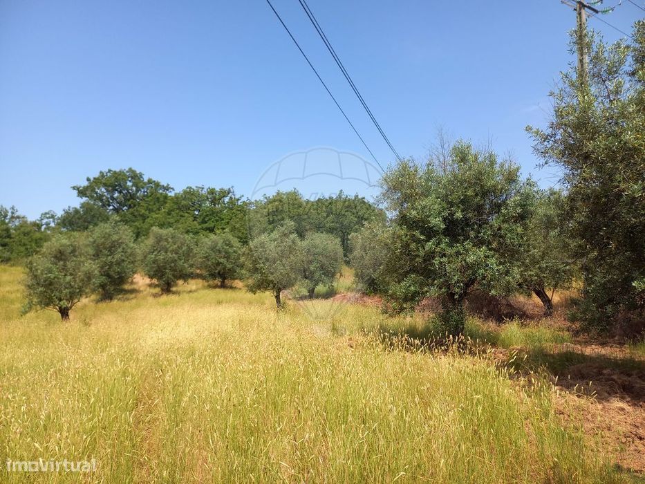 Terreno  para venda
