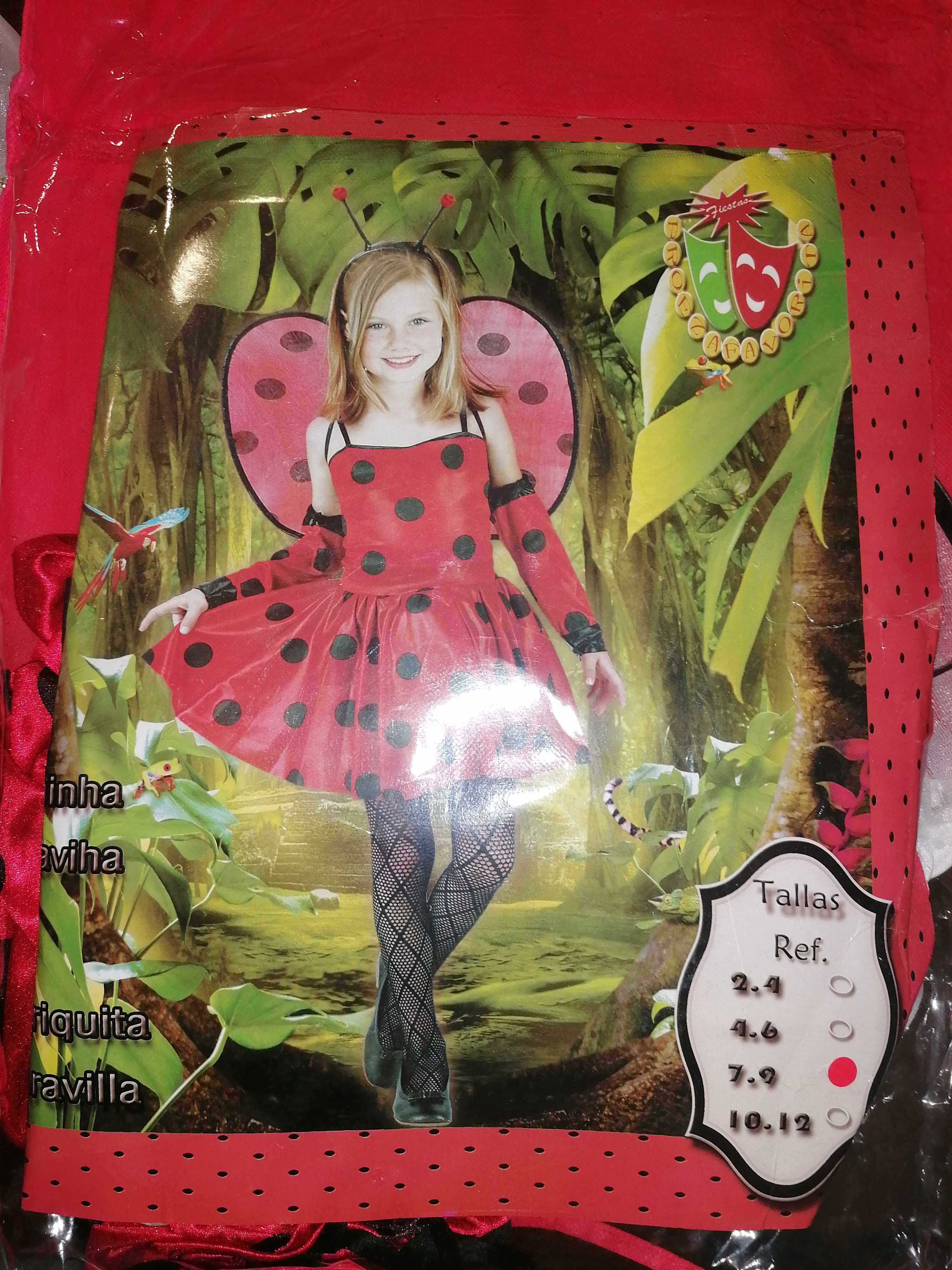 Fato carnaval joaninha