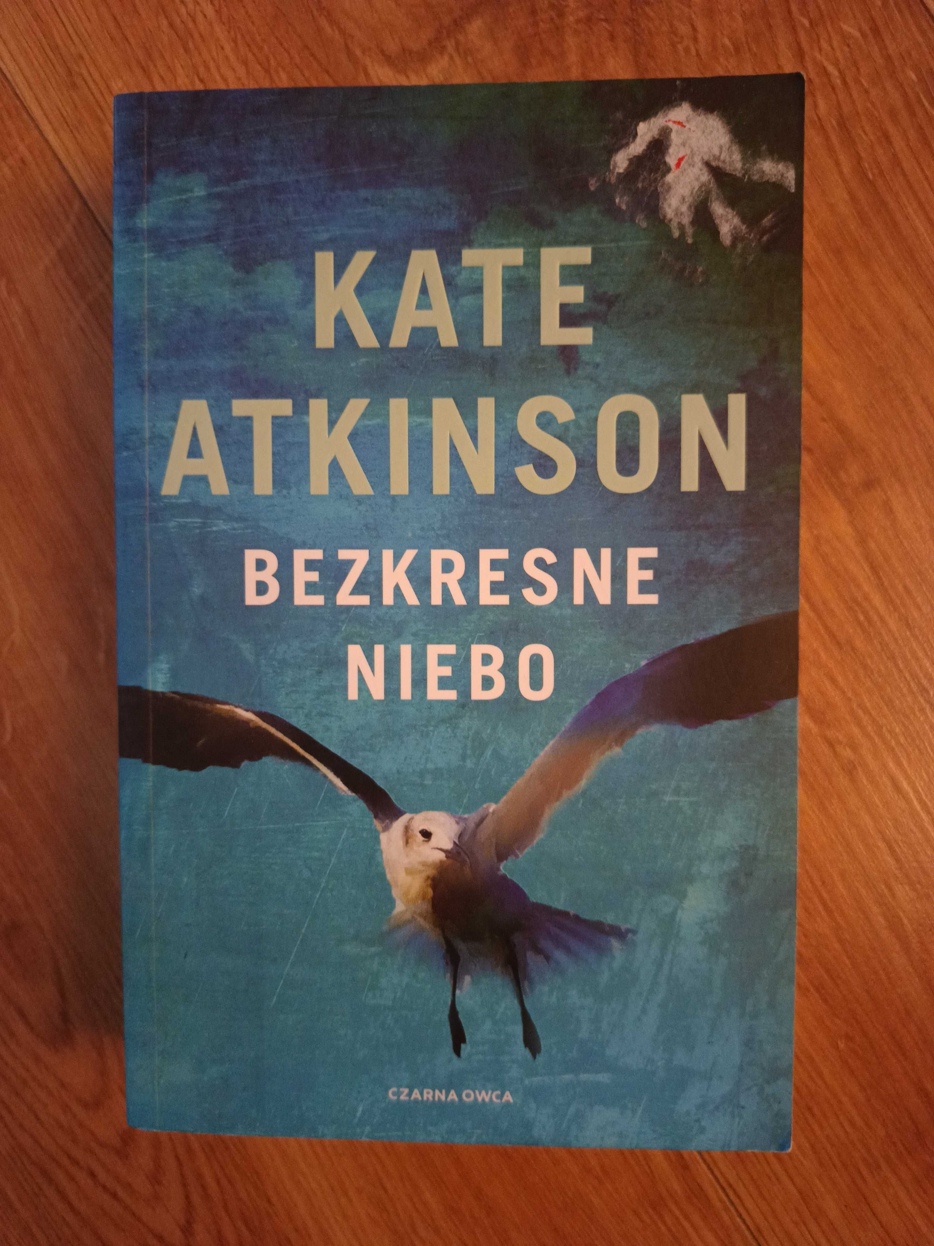 K. Atkinson - Bezkresne niebo