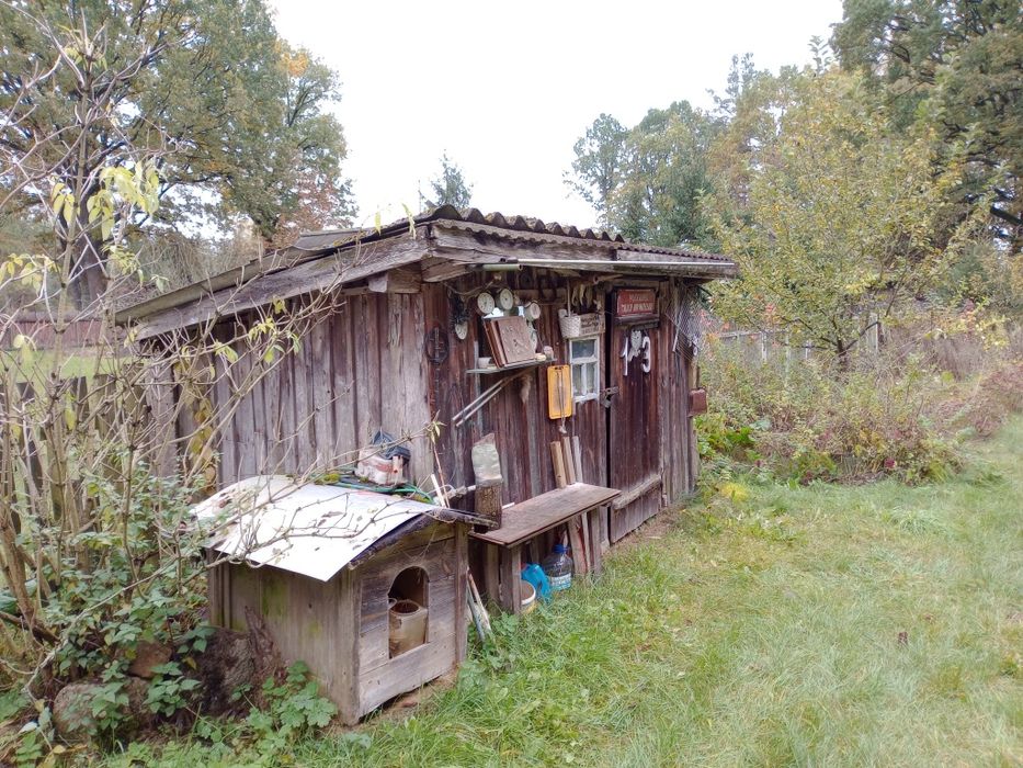 Działka z domkiem w otoczeniu przyrody