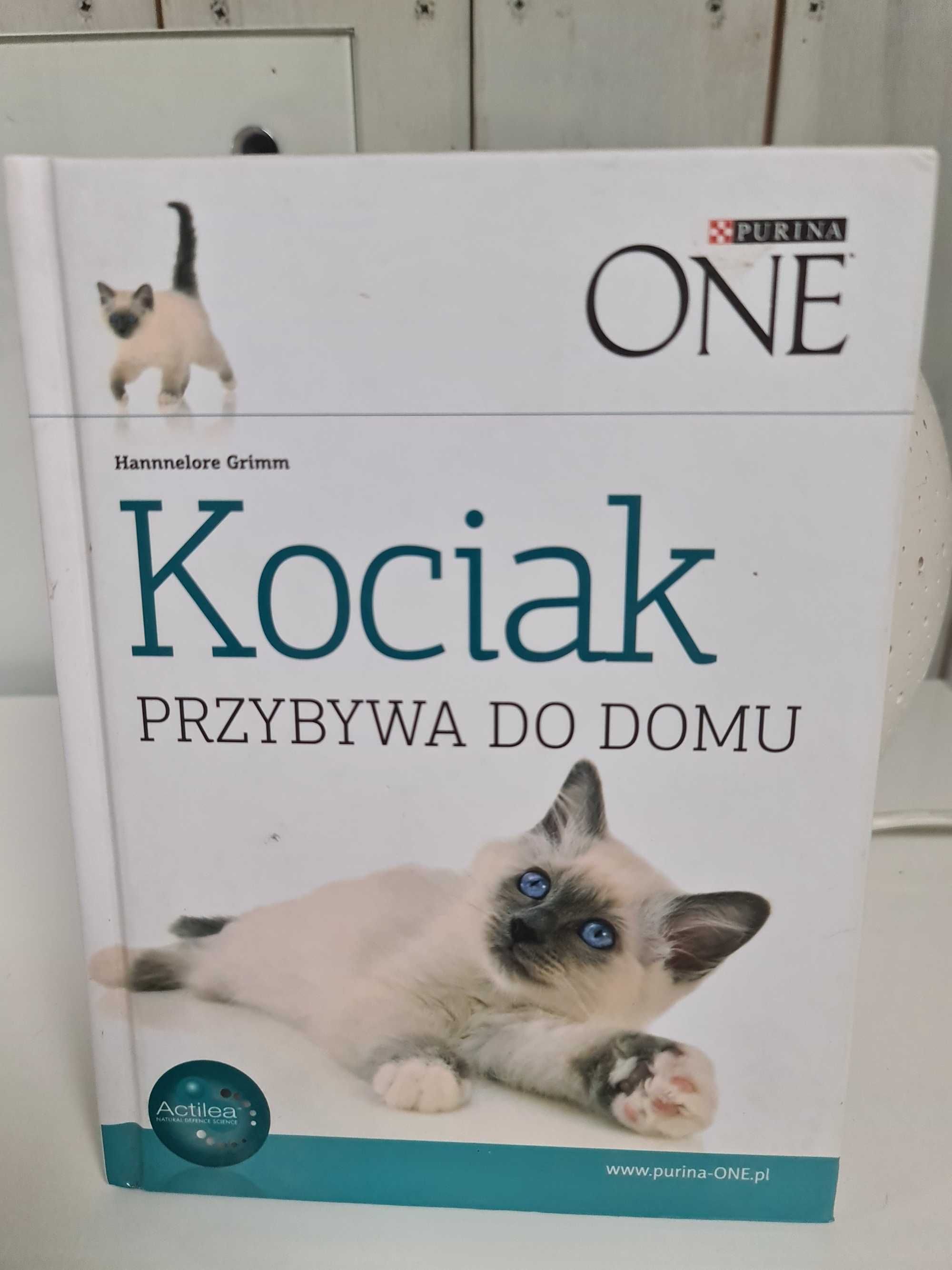 Kociak przybywa do domu H. Grimm