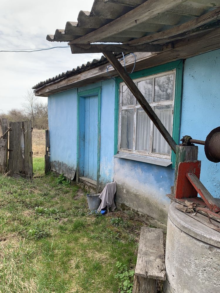 Будинок в селі Олишівка,недалеко від Чернігова.Власник.