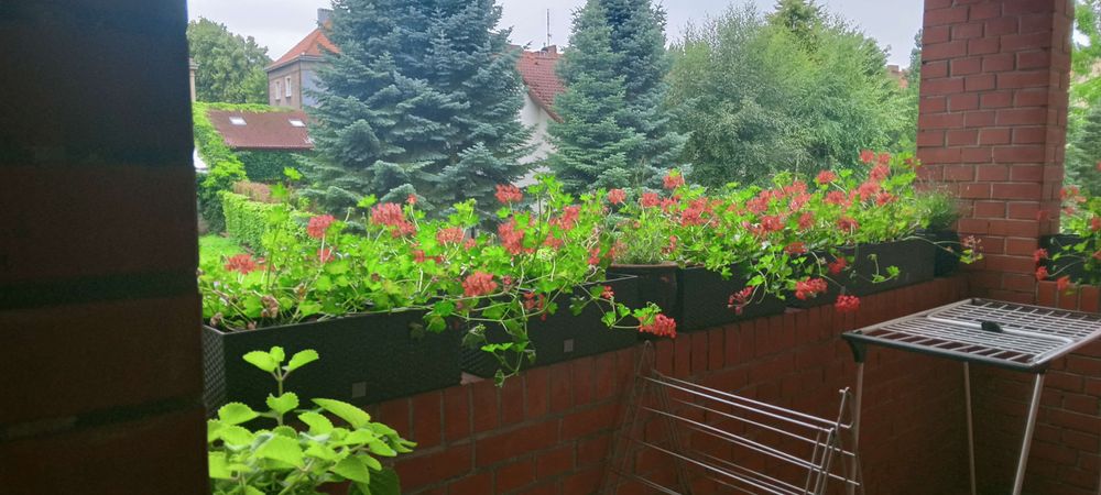 Mieszkanie 3 pokojowe 73m2  1 piętro,, Boh.Warszawy, obok TeatruM.