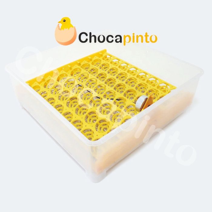 .::Promoção::. Chocadeira/Incubadora 56 Ovos