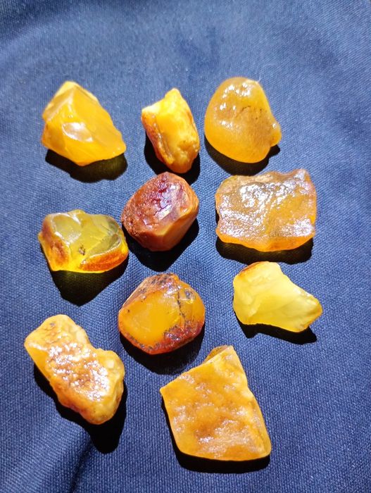 Bursztyn bałtycki surowy 10 szt