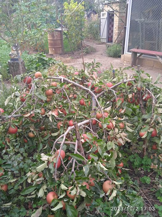 Продам частный дом, р-н Горгаза.