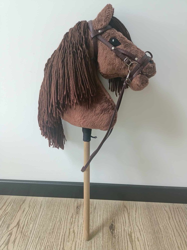 Hobby horse (hobby horsing)