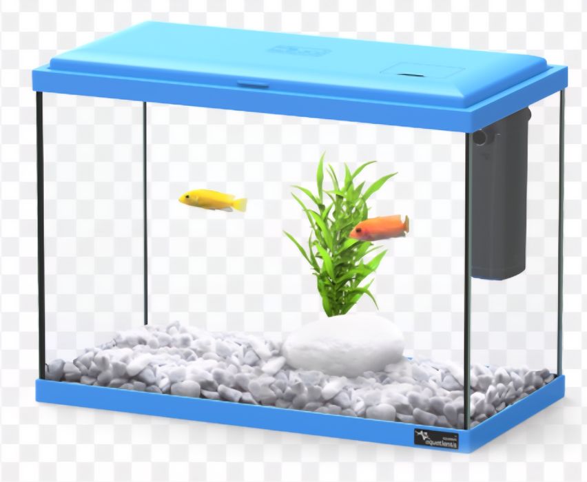 Aquarios de diferentes tamanhos