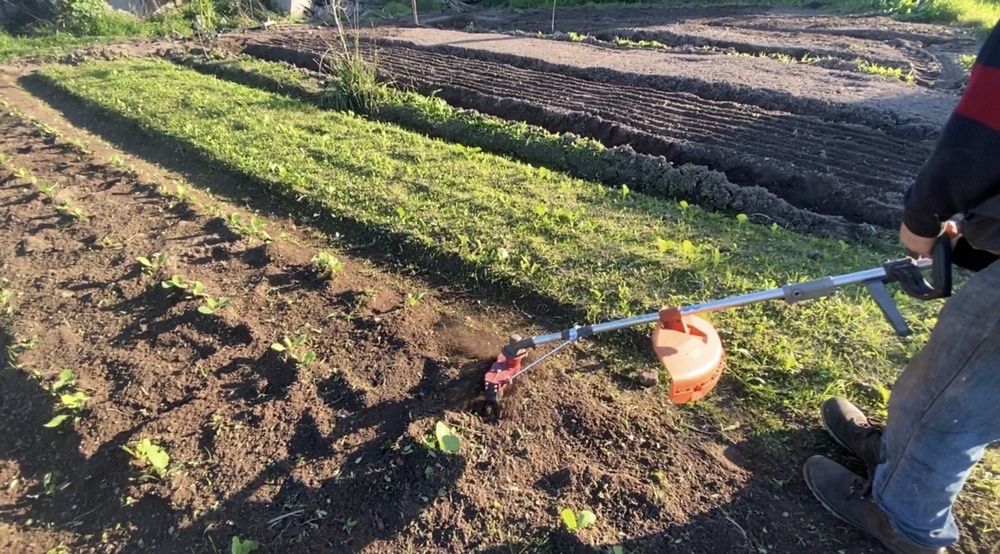 Sachador rotofresa intercepas para aplicação em roçadores