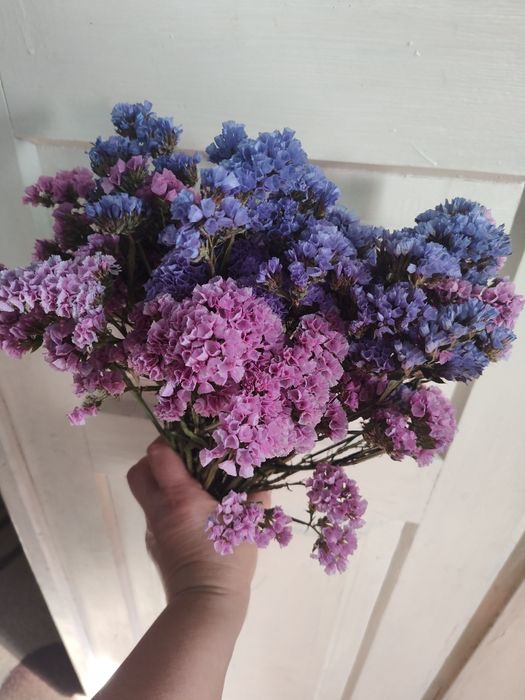 Кермек сухий ціна за букет